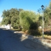 Alhaurin El Grande property: bedroom Land in Alhaurin El Grande, Spain 215895