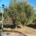 Alhaurin El Grande property: bedroom Land in Malaga 215895