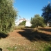 Alhaurin El Grande property:  Land in Malaga 215895