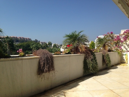 Nueva Andalucia property: Malaga Apartment 215907