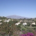 2 bedroom Apartment in Malaga 215910