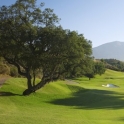 Land for sale in town 215927
