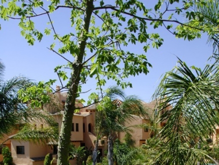 Malaga Apartment 215964