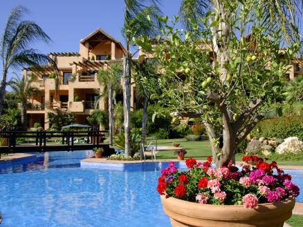 town Apartment 215964