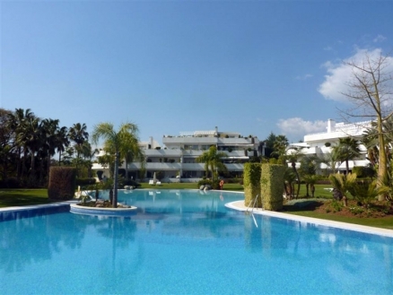 Las Brisas property: Apartment for sale in Las Brisas 215971
