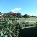 Apartment for sale in town 215994