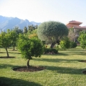 Marbella property: Villa for sale in Marbella 216009