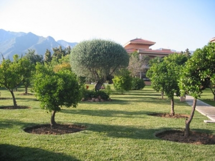 Marbella property: Villa for sale in Marbella 216009