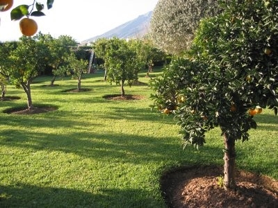 Marbella property: Villa for sale in Marbella, Spain 216009