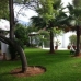 Villa in town 216017