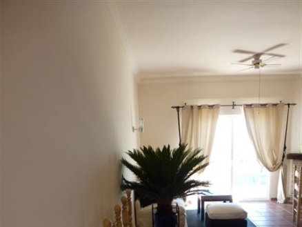 Puerto Banus property: Malaga Apartment 216019