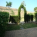 Casares property: Casares Villa, Spain 216038