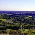Sotogrande property: Sotogrande Villa, Spain 216041