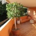 Los Flamingos property: Los Flamingos Villa, Spain 216076