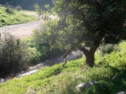 Malaga property: Malaga property | 2 bedroom Land 216082