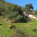 Malaga property: Malaga, Spain Land 216082
