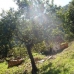 Malaga property: Land in Malaga 216082