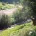 Malaga property: Malaga Land, Spain 216082