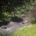 Malaga property: Malaga Land, Spain 216082