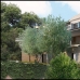 7 bedroom Villa in Malaga 216088