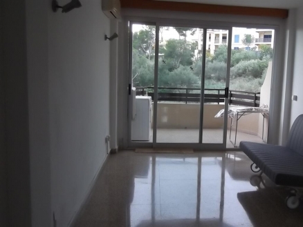 Apartment with 1 bedroom in town 216103
