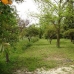 Alhaurin El Grande property: 3 bedroom Villa in Alhaurin El Grande, Spain 216139
