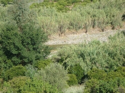 Alhaurin El Grande property: Alhaurin El Grande Villa 216145