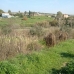 Alhaurin El Grande property: Alhaurin El Grande, Spain Villa 216153