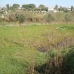Alhaurin El Grande property: Villa in Alhaurin El Grande 216153