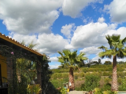 Cartama property: Malaga Villa 216159