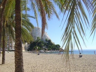 Calvia property: Apartment with 3 bedroom in Calvia 216180