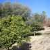 Estepona property: Villa in Malaga 216189