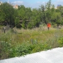 Alhaurin De La Torre property: Land for sale in Alhaurin De La Torre 216219