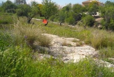 Alhaurin De La Torre property: Land for sale in Alhaurin De La Torre, Spain 216219