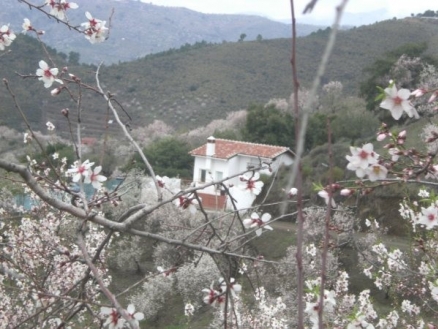Monda property: Villa in Malaga for sale 216233