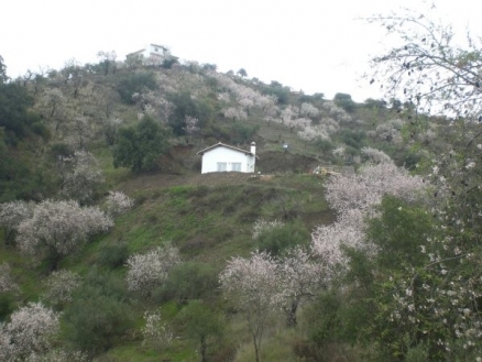 Monda property: Monda, Spain | Villa for sale 216233