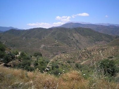 Monda property: Monda Villa 216233