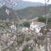 Monda property: Villa in Monda 216233