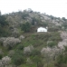 Monda property: Malaga Villa, Spain 216233