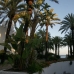 Malaga, Spain Apartment 216235