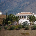 Villa for sale in town 216243