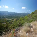 Pego property: Land for sale in Pego 216273