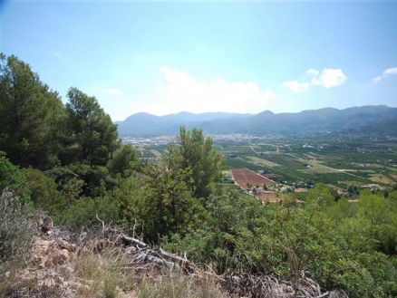 Pego property: Land for sale in Pego, Spain 216273