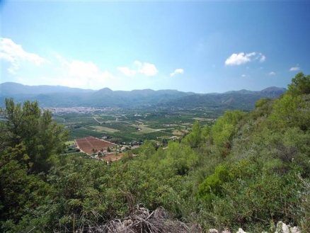 Pego property: Land with bedroom in Pego 216273