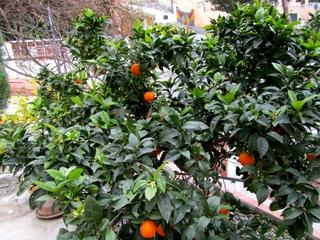 Villa with 4 bedroom in town 216330