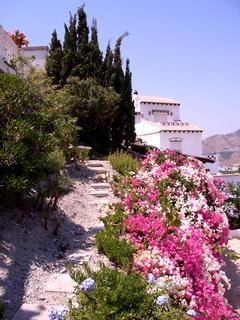  3 bedroom Villa 216333
