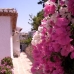 Villa in town 216333
