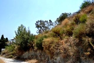 Almunecar property: Land with bedroom in Almunecar 216398