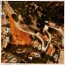 Almunecar property: Almunecar, Spain Land 216398