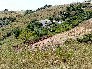 Frigiliana property: Malaga Villa 216454